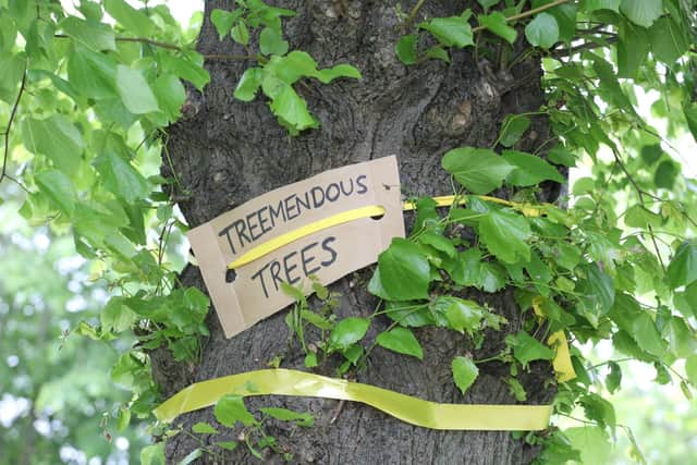 Trees Wellingborough Walks