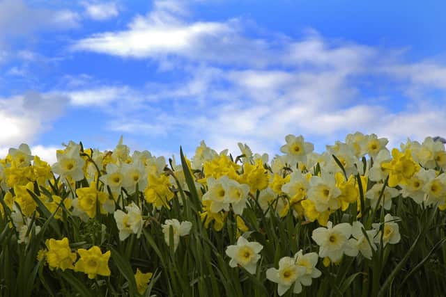 The sun is set to shine over Northamptonshire for parts of the long Easter bank holiday.