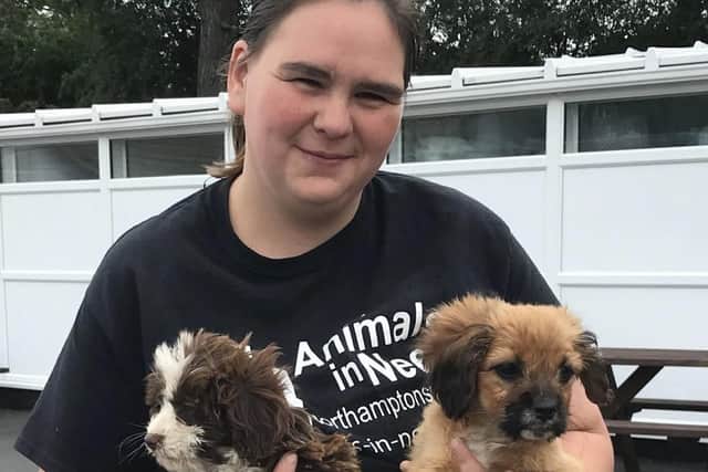 Emma from Animals In Need with the two puppies dumped in the charity's car park this week