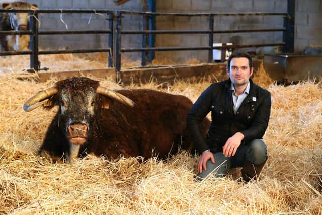 Joe Stanley, NFU county chair, with a longhorn