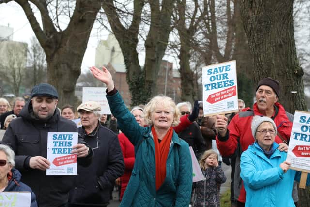 Protesters in the Wellingborough Walks make their feelings known
