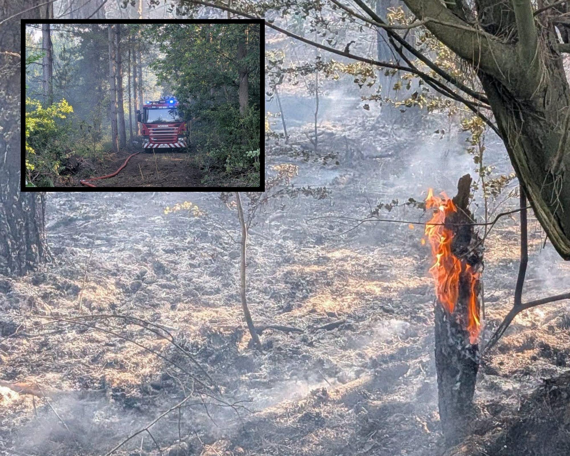 Wild fire in Kettering woodland attended by seven crews sparks warning ...