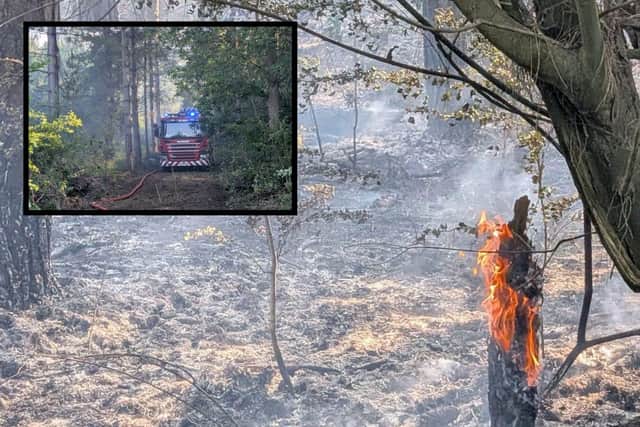 Crews were called to a wild fire at Weekley Hall Wood in Kettering on Friday