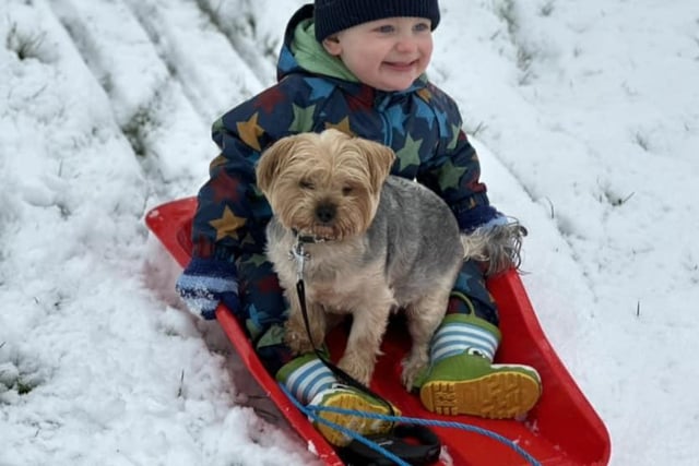 Just a boy and his best, best pal sledging in the snow