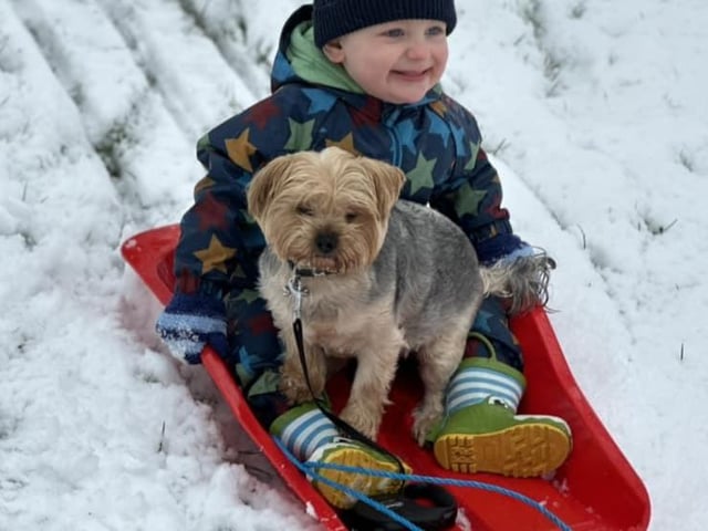 Just a boy and his best, best pal sledging in the snow