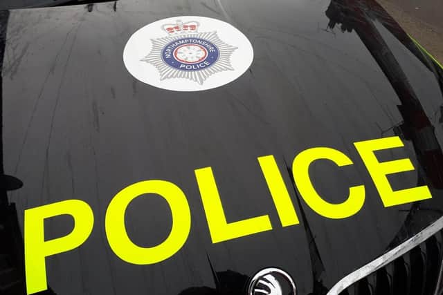 Police arrested one man and seized four dogs near Northampton town centre on Wednesday morning.
