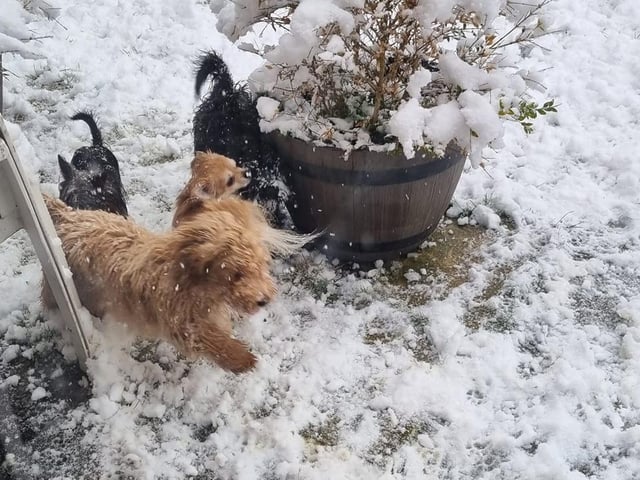 Four best mates in the snow