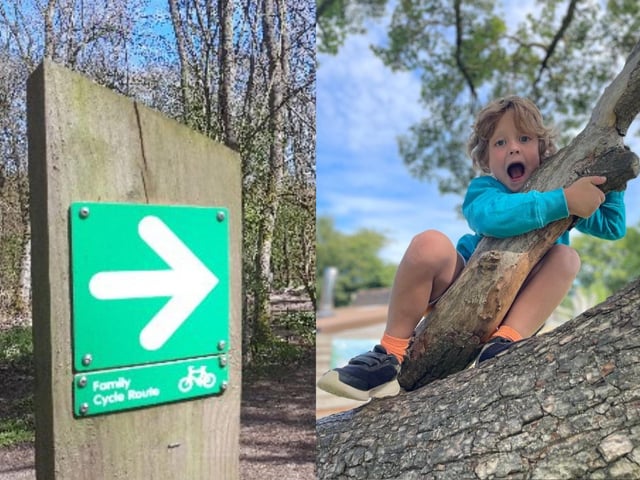 Fineshade Wood, near Corby offers forest walks and a play area : Best days out in north Northamptonshire for bank holidays and trips out with the family/ National World