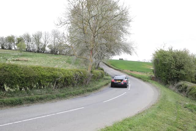 The tree-lined road sweeps downhill with bends passing over a culvert
