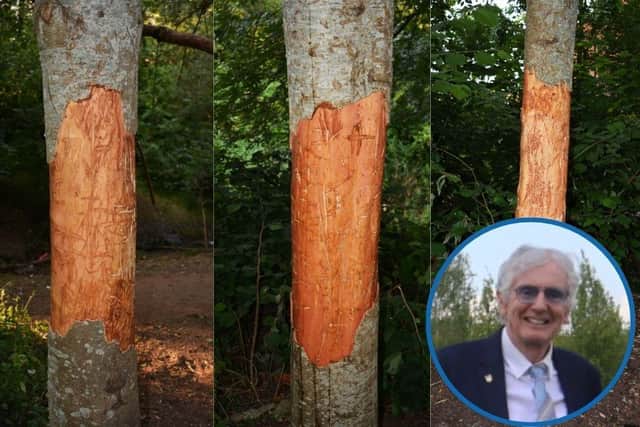 Paul Balmer, chair of Oakley Vale Community Association, would like to put out a plea to everyone to please not vandalise the trees. Photos: Paul Balmer