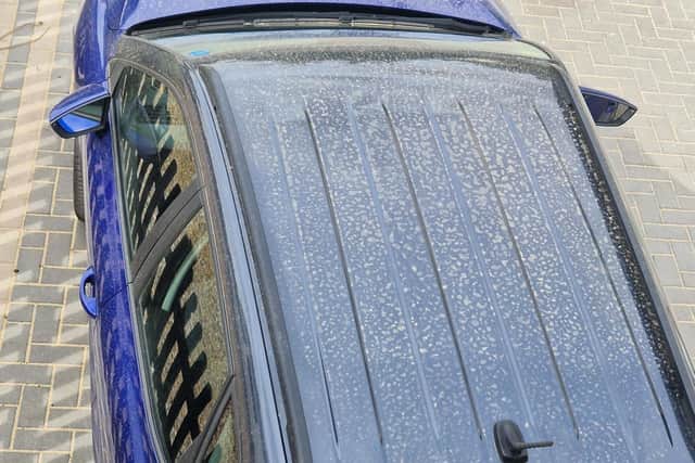 The family's car has been covered in a layer of dust for months