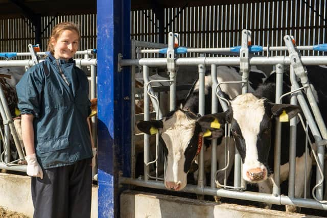 Busy: Cross Counties Farm Vets vet Mel Julian loves the challenge of caring for farmers and their livestock