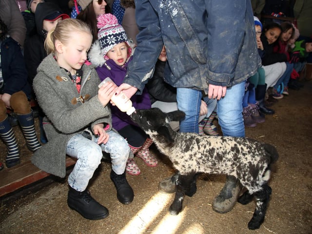 West Lodge Rural Centre - hugely successful farm attraction with loads to do for children: Best days out in north Northamptonshire for bank holidays and trips out with the family/ National World