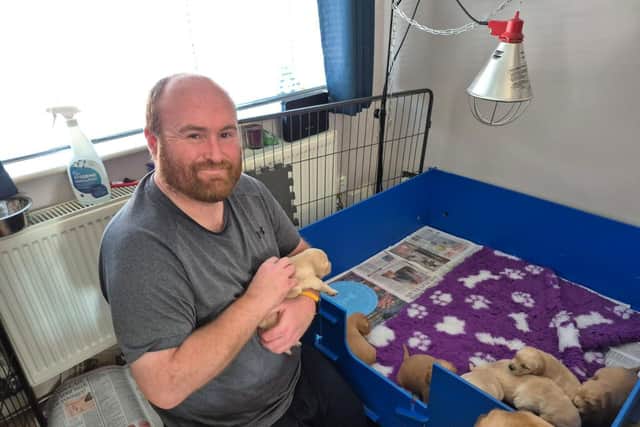 Guide Dogs' Breeding Dog Volunteer Rob Chivers with Fiji's litter.