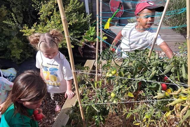 Acorn nursery children with their allotment