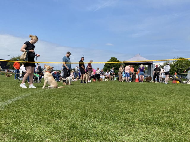 Corby Dog Festival 2023