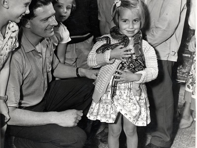 One little girl gets the chance to hold a snake