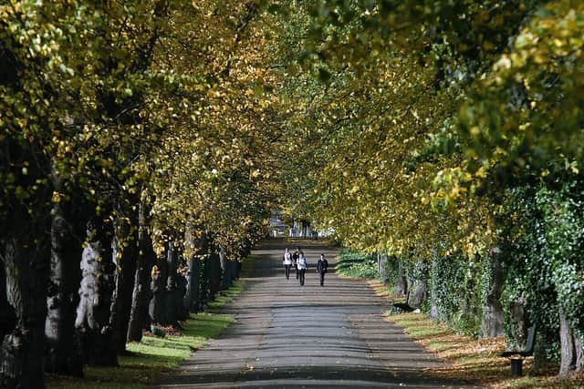 Wellingborough Walks in 2008