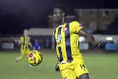Michael Gyasi could lead the Kettering Town attack in the absence of the suspended Eddie Panter (Picture: Peter Short)