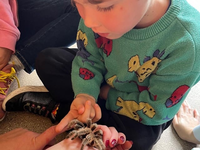Halloween animal handling workshop at Rushden Hall a 'wonderful showcase of community spirit'