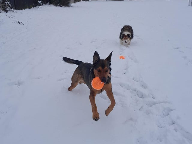 Play time