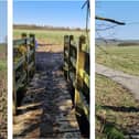 The Griffin Trail currently is awaiting completion - the field, the bridge, the Griffin Trail towards Braybrooke/National World