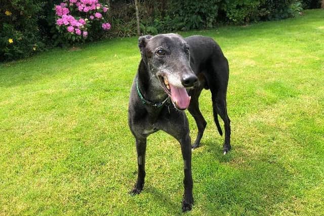 10-year-old Alfie.
