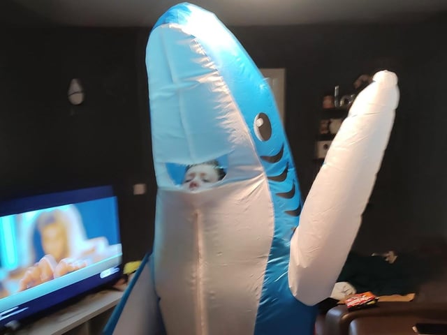 Daryl, from Corby, as Baby Shark