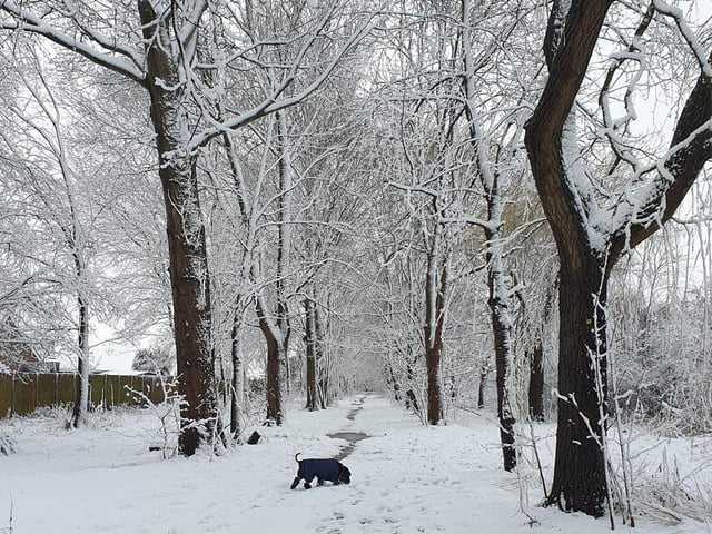 A beautiful wintry scene, sent in by Kay Stobbart