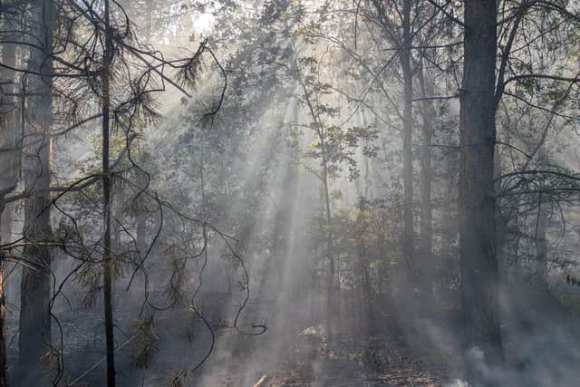 Crews were called to a wild fire on Friday