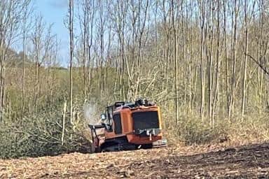 The bulldozer working to clear trees in Wire Lane, East Carlton