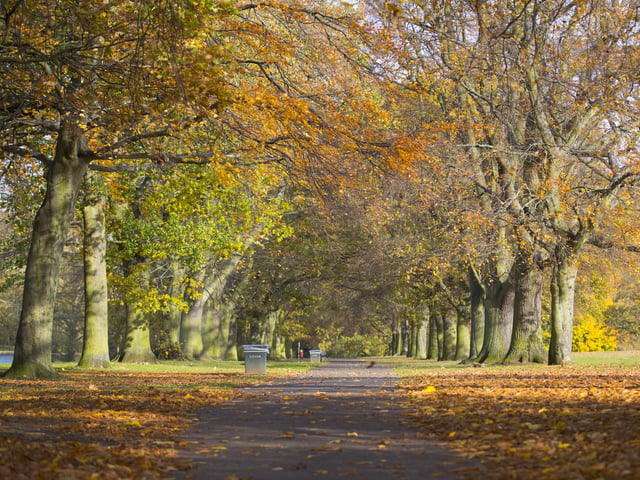 You can see a spectrum of Autumn colours at Abington Park in Northampton