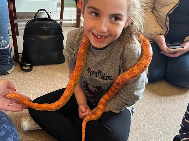 Halloween animal handling workshop at Rushden Hall a 'wonderful showcase of community spirit'