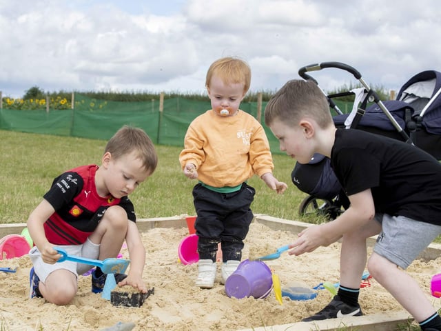 The sunflower field and maize maze is now open for family days out during the summer holidays.