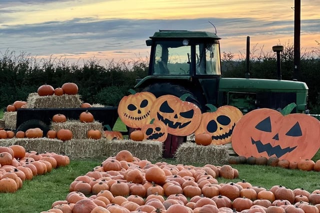 From bite-sized to beastly, the farm shop pumpkins aplenty. Organisers say pick yours while stocks last.
Visit the Smiths Farm Shop Facebook page to find out more.
