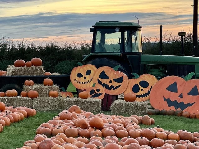 From bite-sized to beastly, the farm shop pumpkins aplenty. Organisers say pick yours while stocks last.
Visit the Smiths Farm Shop Facebook page to find out more.