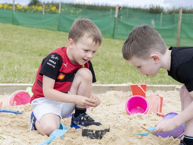 The sunflower field and maize maze is now open for family days out during the summer holidays.