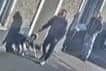 CCTV from Huntingdon Road, Thrapston/Northants Police