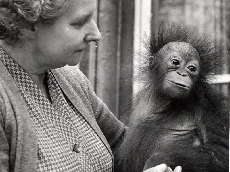 Locals were regularly allowed to get up close to the animals, which were sometimes let out of their cages to meet the public