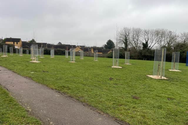 NNC has secured grant funding so it can plant 500 new trees across the area