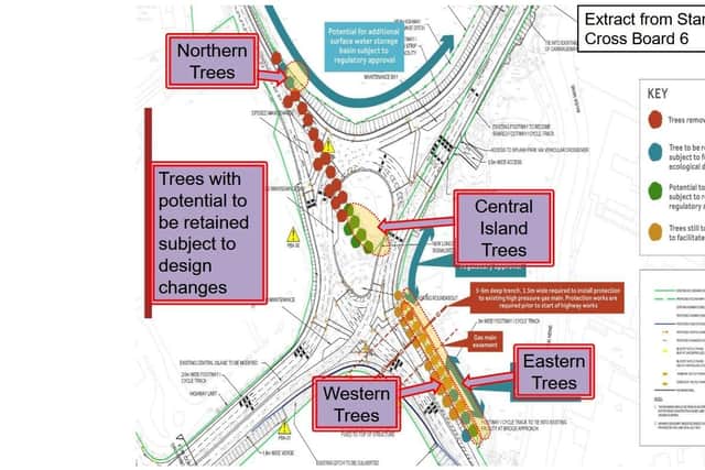 A design put forward by WWAG could save a majority of the remaining trees