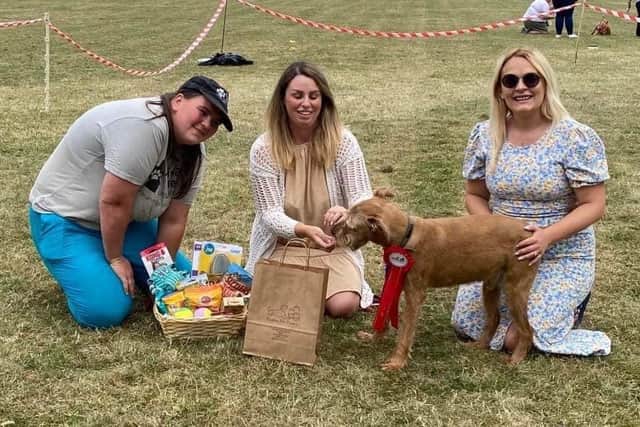The fun dog show at Earls Barton