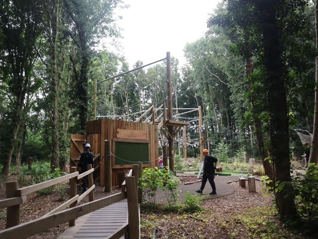Iron Pit Woods summer fun day