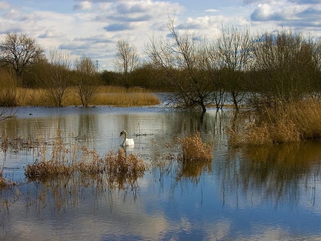 A haven for a variety of wildlife, Summer Leys Nature Reserve south of Wellingborough Best days out in north Northamptonshire for bank holidays and trips out with the family/ National World