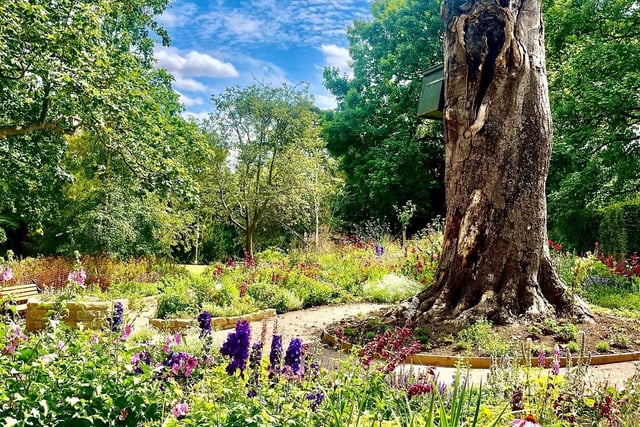 The new sensory garden is in Rushden's Hall Park