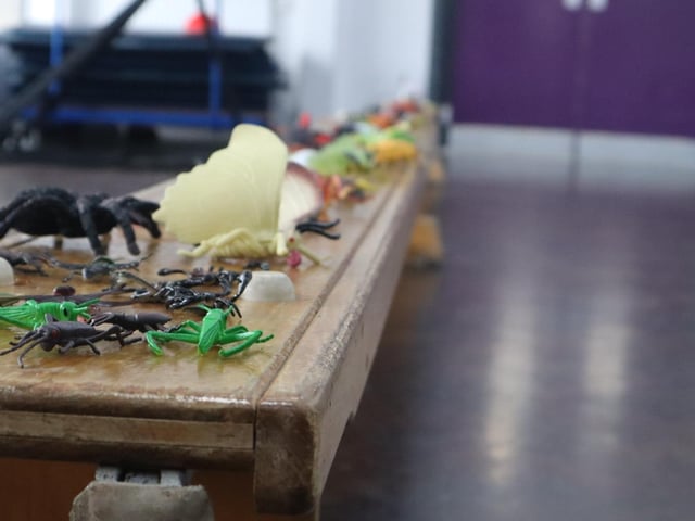 Corby Rotary Club Science Competition at Studfall Junior Academy 13/03/24:Corby Rotary Club Science Competition