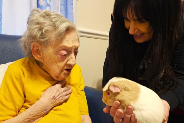 Christmas festive animal fun for Elm Bank Care Home residents.