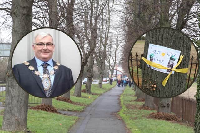 Mayor of Wellingborough Jonathan Ekins, the trees that are to be cut down and the yellow ribbons that have been attached to the trees