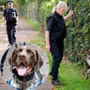 Gunner the dog in action in Rushden /Northants Police