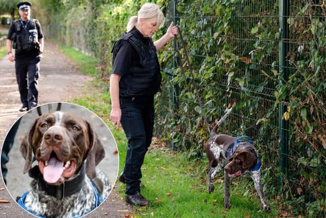 Gunner the dog in action in Rushden /Northants Police